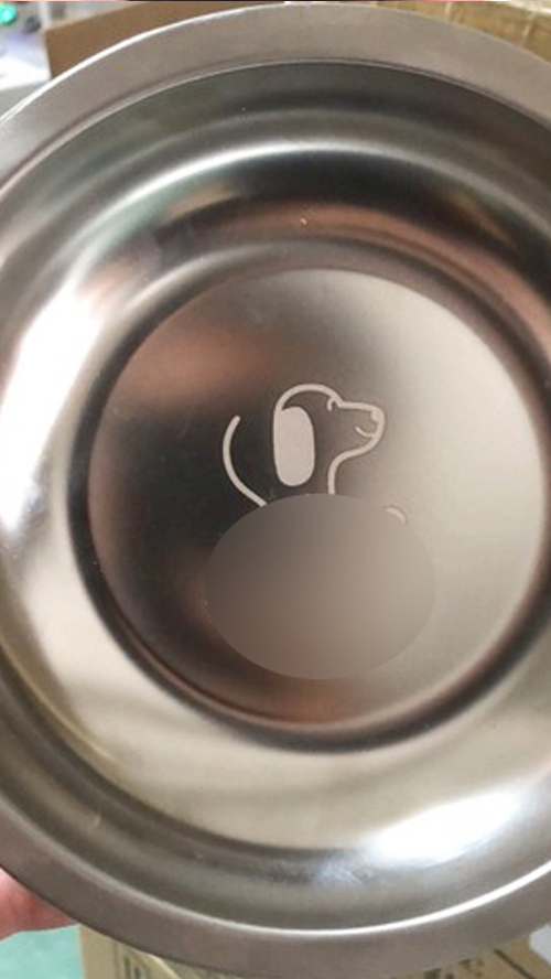 Gamelle pour chien de haute qualité, multicolore, en acier inoxydable, disponible en gros. 22