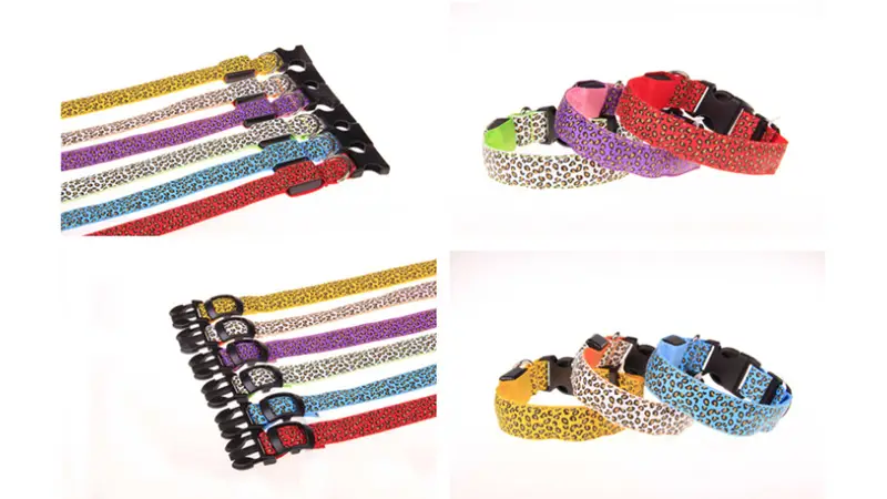 Collier LED étanche pour chien de grande, moyenne et petite taille 1