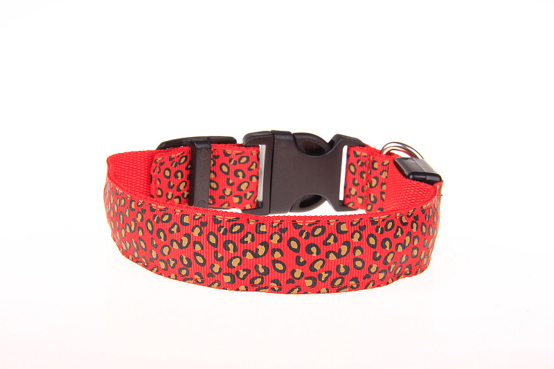 Collier LED étanche pour chien de grande, moyenne et petite taille 6