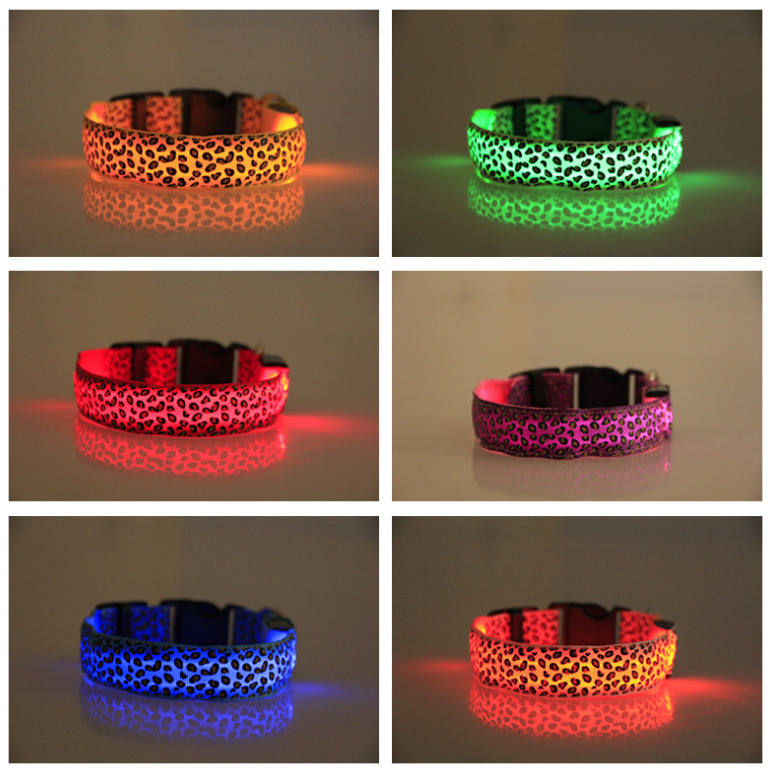 Collier LED étanche pour chien de grande, moyenne et petite taille 15