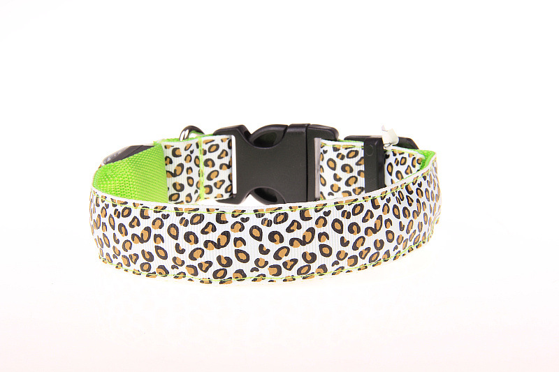 Collier LED étanche pour chien de grande, moyenne et petite taille 11