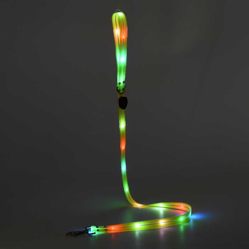 Laisse et collier lumineux LED pour chien, rechargeables et étanches, phosphorescents. 17