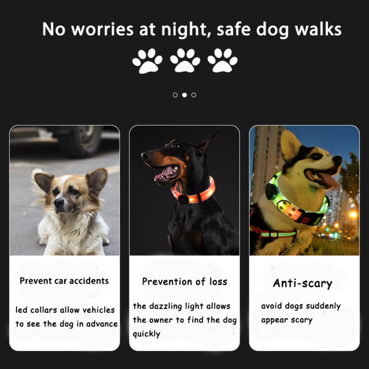 Laisse et collier lumineux LED pour chien, rechargeables et étanches, phosphorescents. 8