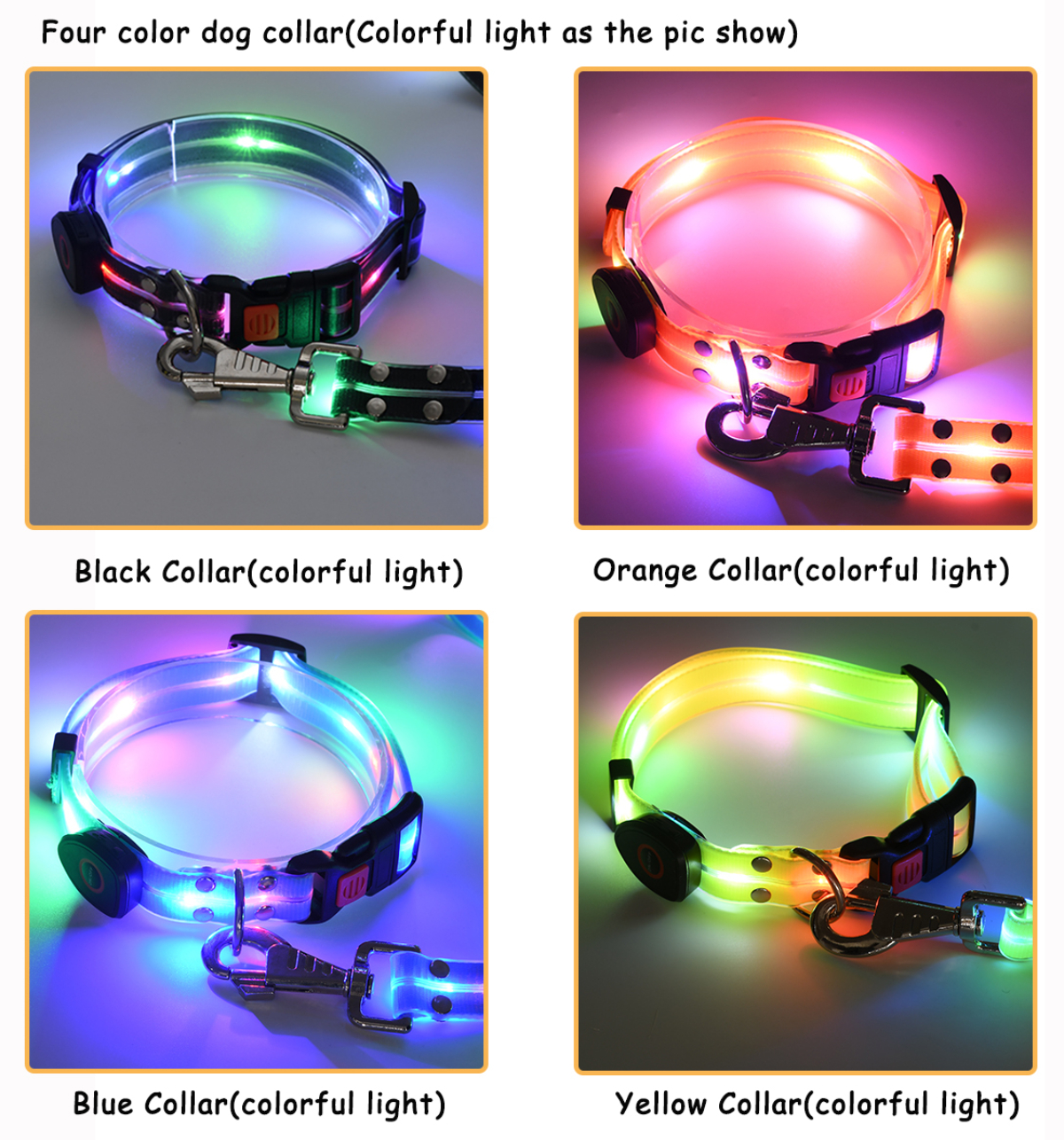 Laisse et collier lumineux LED pour chien, rechargeables et étanches, phosphorescents. 12