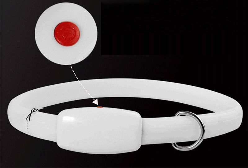 Colliers LED pour chiens, étanches et lumineux, pour chiens de grande, petite et moyenne taille. 6