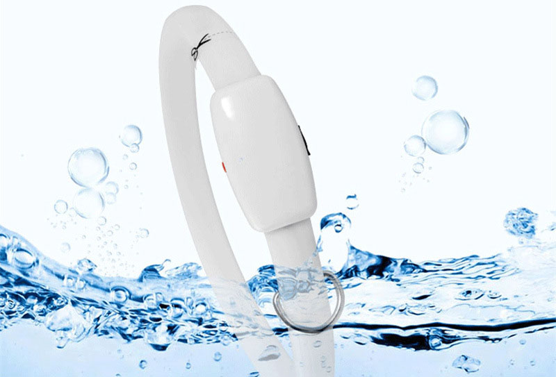 Colliers LED pour chiens, étanches et lumineux, pour chiens de grande, petite et moyenne taille. 10