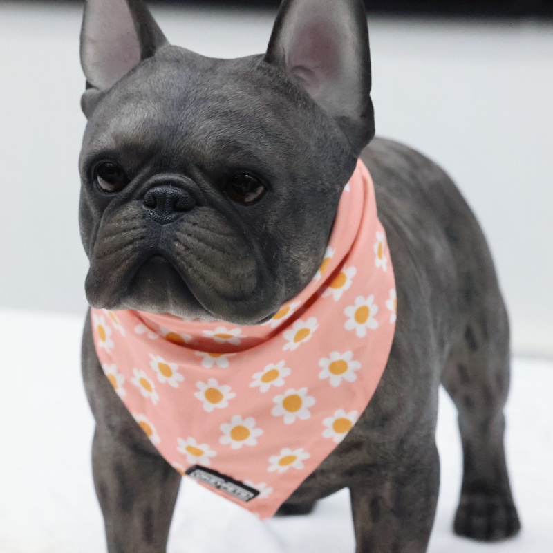 Rózsaszín kutyahám mellény szett elülső klipsz fényvisszaverő kutyahám nyakörv póráz kis-közepes fajtájú háziállatoknak 15