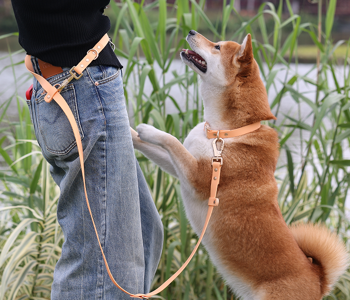 Laisse pour chien OKEYPETS personnalisée, résistante et durable, à double crochet, imperméable, en PVC, mains libres 9