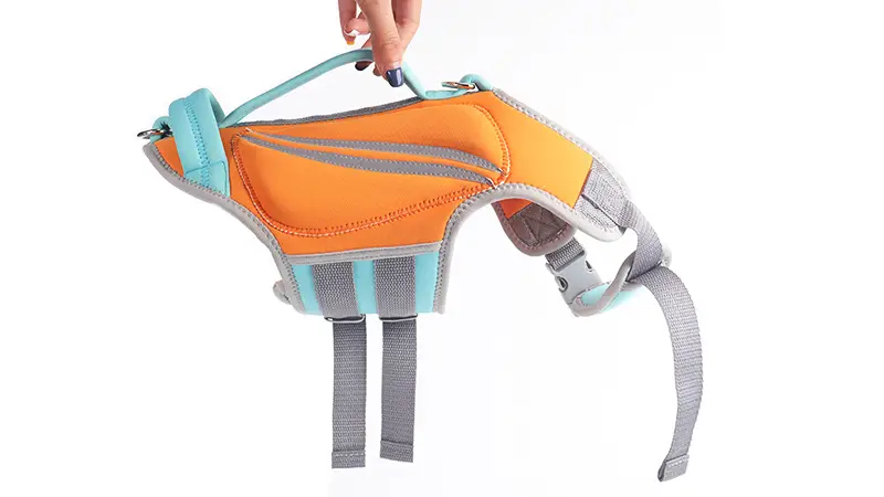 Gilet de sauvetage pour chien OKEYPETS réfléchissant, ajustable et imperméable, en néoprène, pour la natation et la sécurité. 1