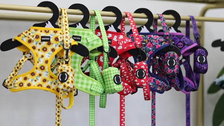 Pengilang Tali dan Tali Abah Anjing One Step In Tanpa Tarik Warna Pepejal Lembut Tanpa Tarik 1