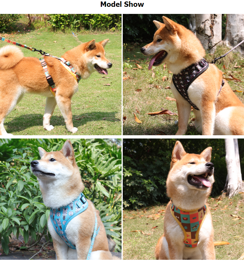 Harnais pour chien en néoprène anti-traction à vendre. Harnais pour chien en maille respirante. Facile à enfiler. 10