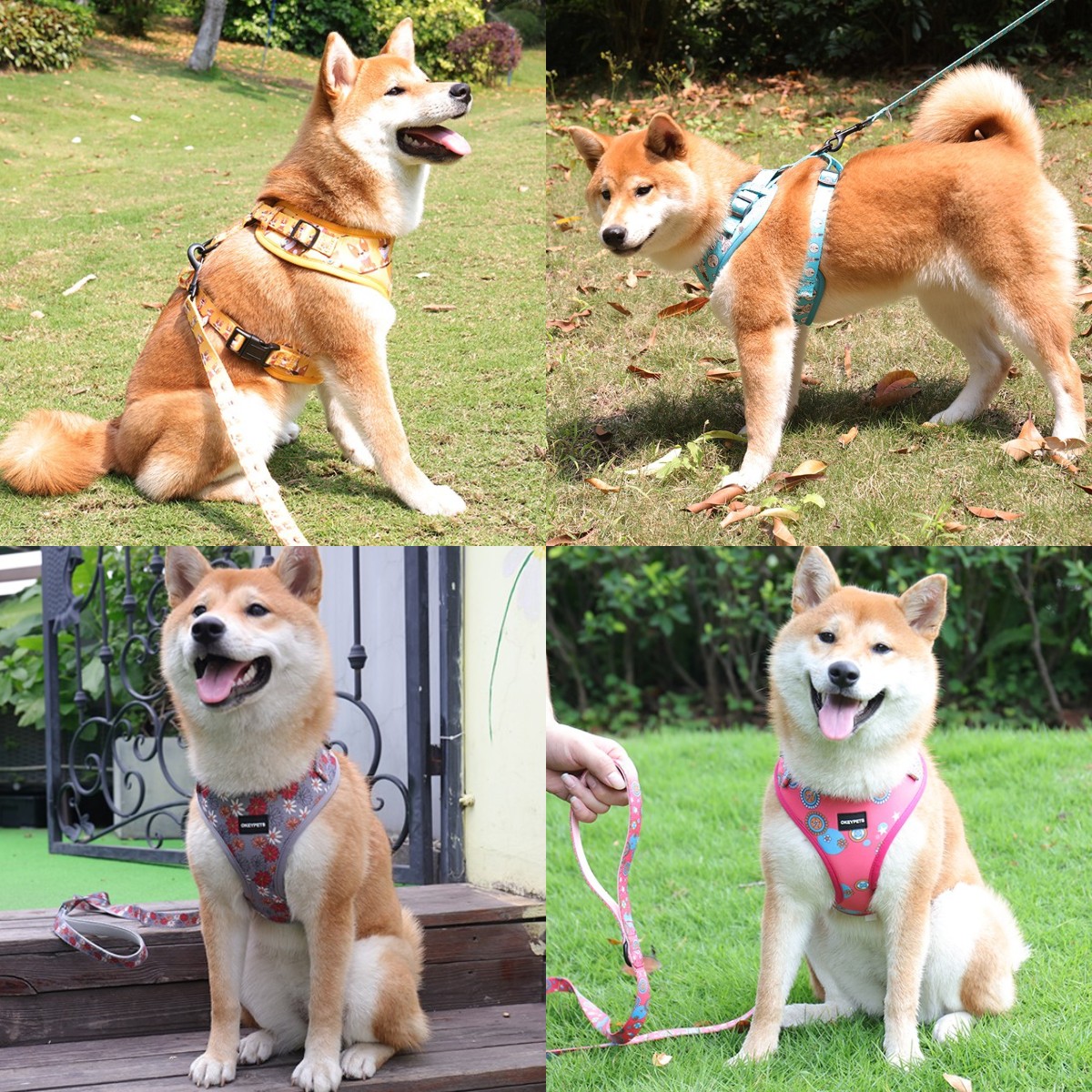 Fournisseur de harnais pour chien Step In - Gilet réversible pour chiot, idéal pour la marche et la course 21