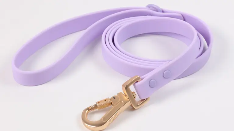 Ensemble collier et laisse de dressage pour chien OKEYPETS en PVC imperméable et résistant. Collier et laisse en PVC avec déodorant personnalisé et étiquette nominative. 1