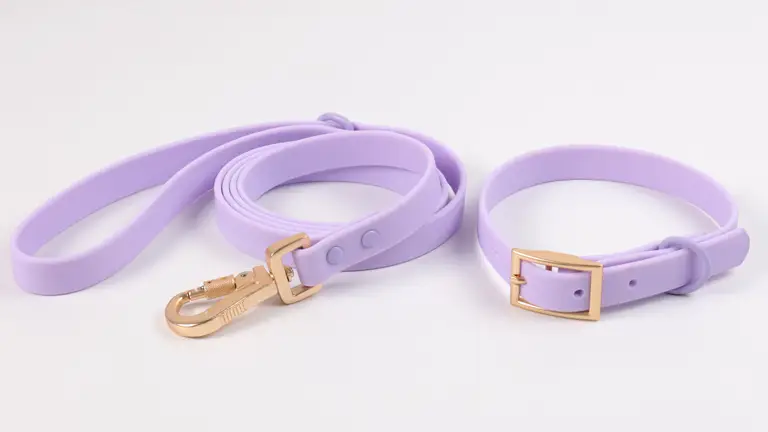 Ensemble collier et laisse pour chien en PVC, 15 mm, 13 mm, 19 mm, 24 mm. Collier pour chien en PVC imperméable avec revêtement TPU. 1