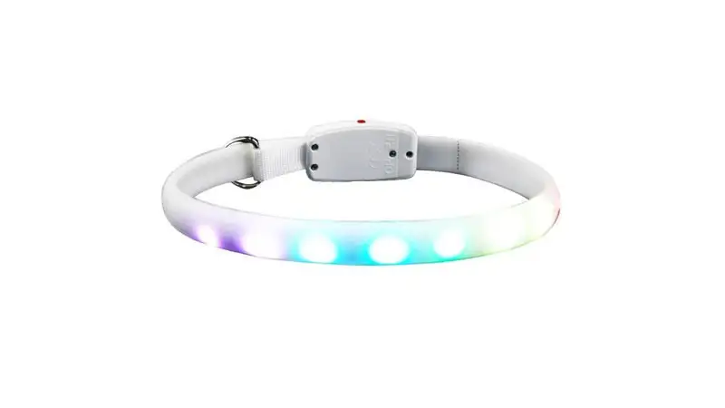 LED Dog Collar Rechargeable Color Changing Light up Dog Collar Lights for Night Walking 1