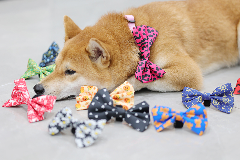 OKEYPETS Nœuds papillon de Noël personnalisés pour chiens, accessoires pour animaux de compagnie, multicolores, en polyester de luxe, ajustables. 12