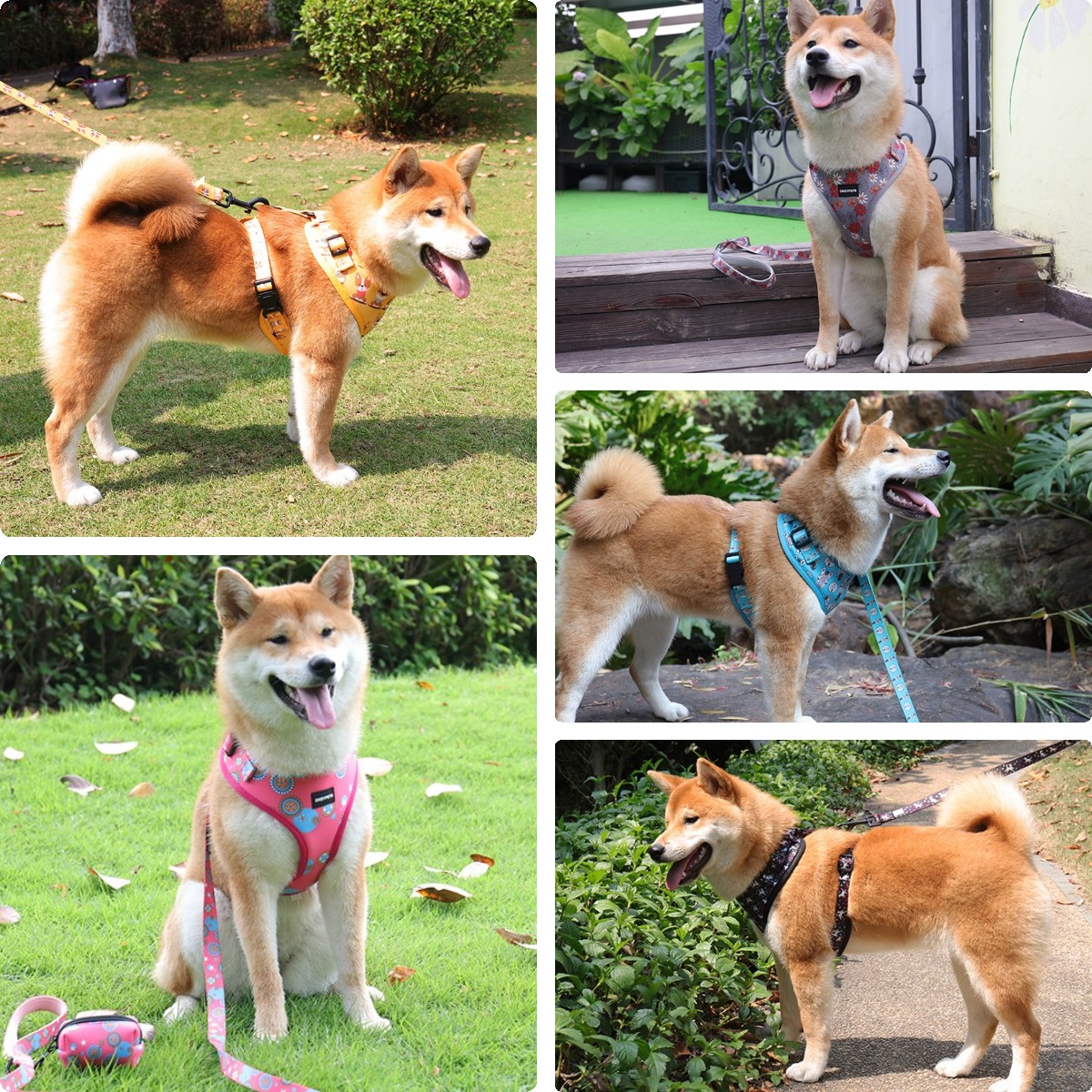 Harnais réversible anti-traction pour chien, gilet pour animaux de compagnie imprimé par sublimation, vente en gros 24