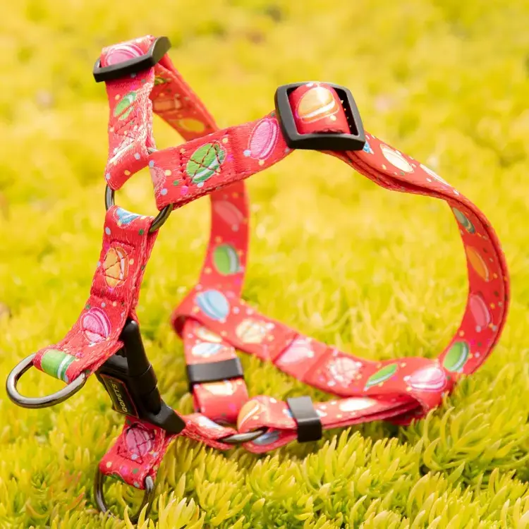 Custom dog harness factory supplier Manufacturer | OKEYPETS 2