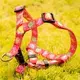 Custom dog harness factory supplier Manufacturer | OKEYPETS 2