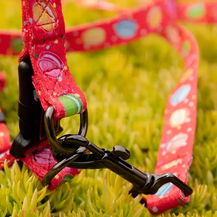 Custom dog harness factory supplier Manufacturer | OKEYPETS 4