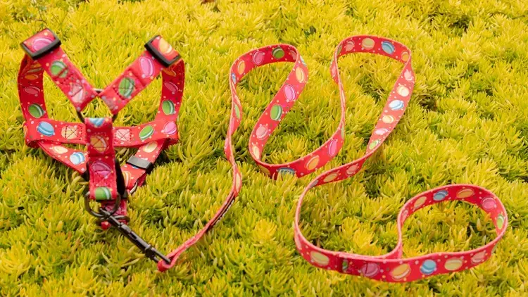 Custom dog harness factory supplier Manufacturer | OKEYPETS 5