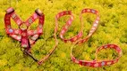Custom dog harness factory supplier Manufacturer | OKEYPETS 5