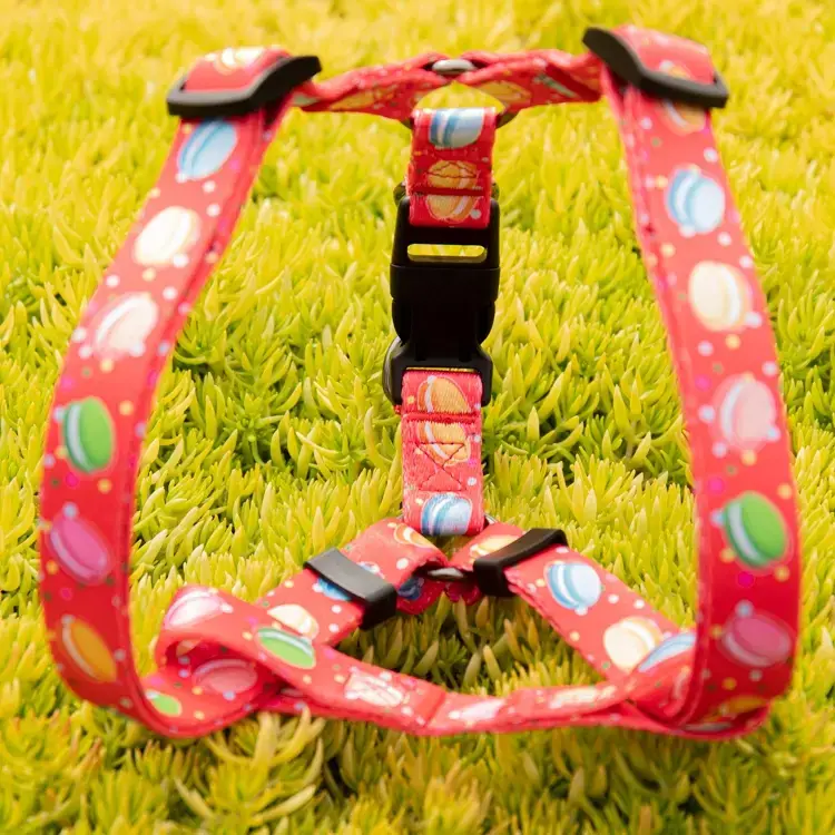 Custom dog harness factory supplier Manufacturer | OKEYPETS 3