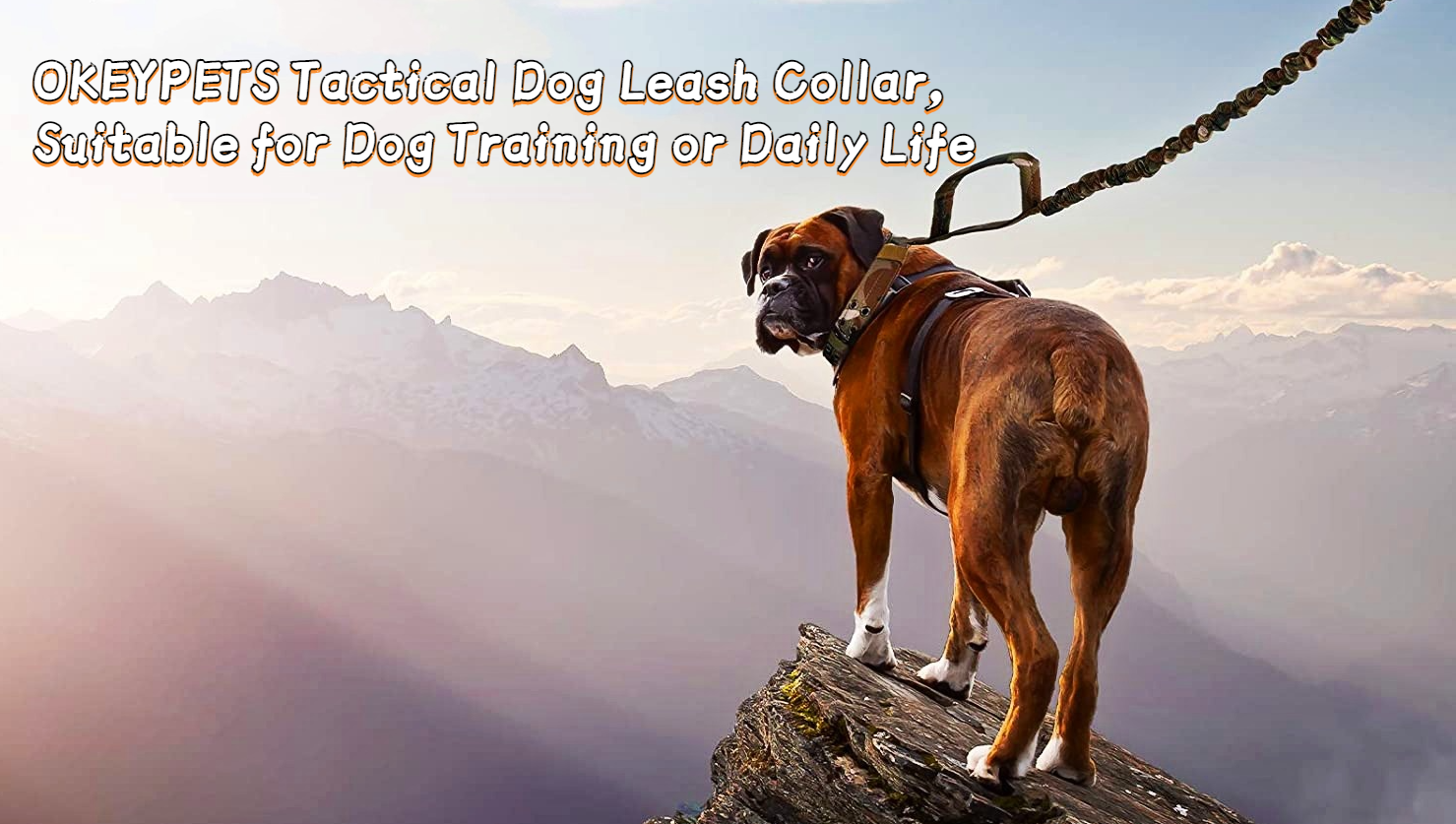 Laisse tactique marron pour chien avec élastique extensible et réglable pour animaux de compagnie 11