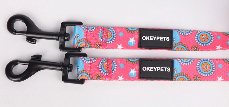 Aksesori Haiwan Peliharaan OKEYPETS OEM menerima Kolar dan Tali Anjing Kuat Tahan Lama Boleh Laras 14