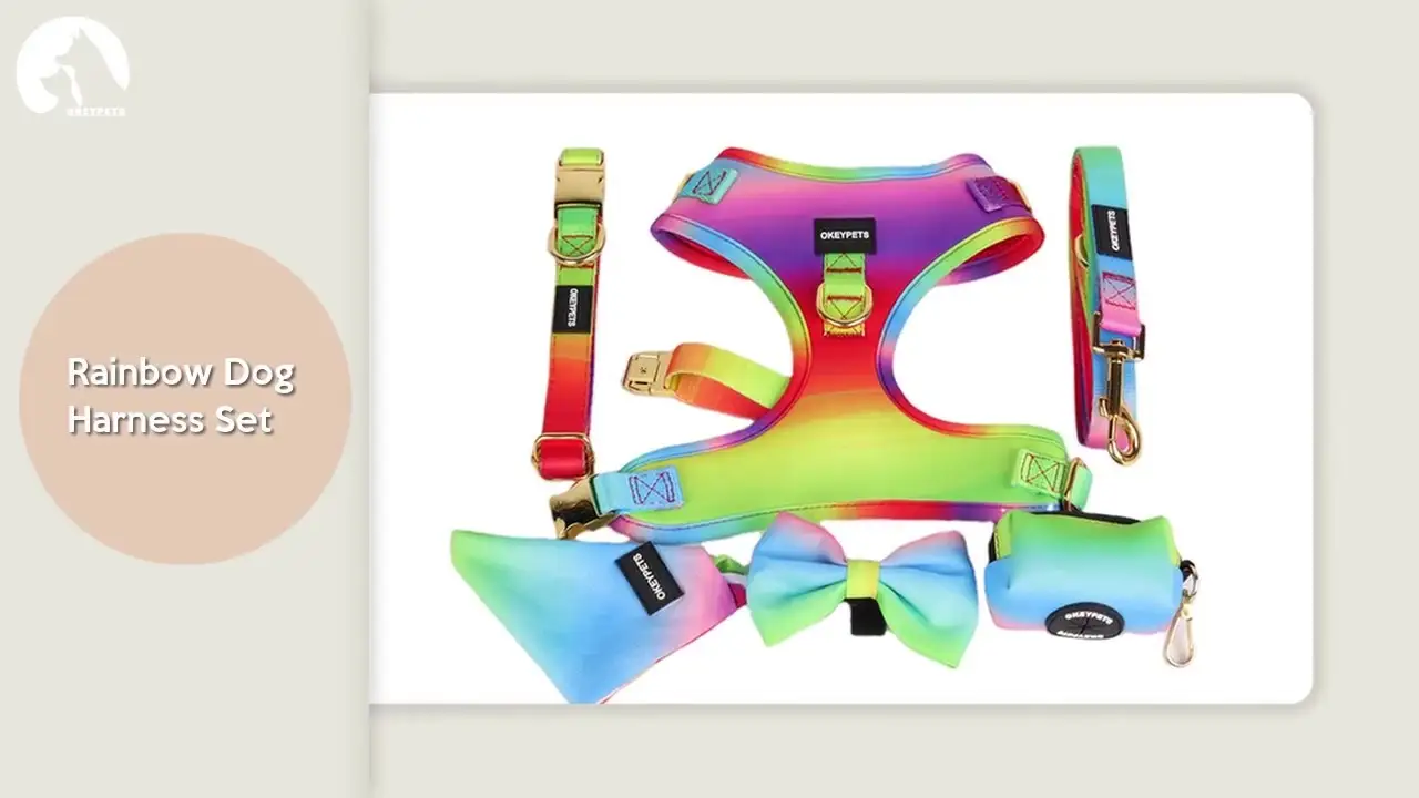OKEYPETS Rainbow Dog Harness Set Printing Design Safety Adjustable Breathable Air Mesh Dog Harness And Collar Leash Set1 1