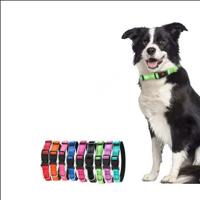 Collar reflectante de nailon para perros con hebilla de seguridad: alta visibilidad y durabilidad. 2