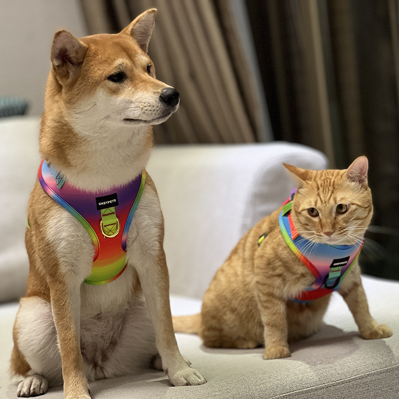 OKEYPETS Rainbow Dog Harness Set Printing Design Safety Adjustable Breathable Air Mesh Dog Harness And Collar Leash Set1 11