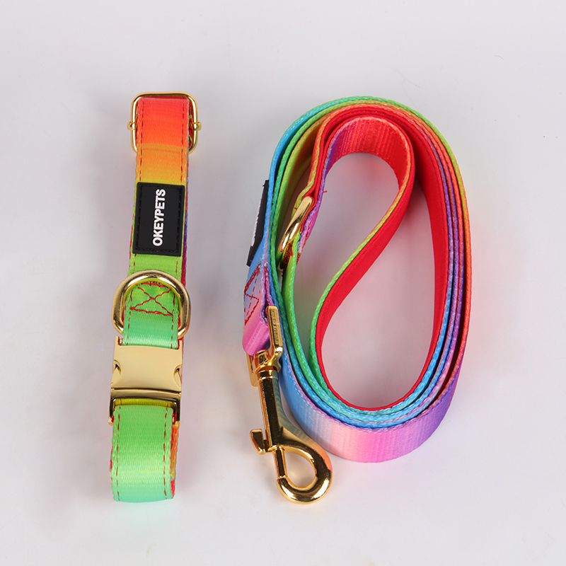 OKEYPETS Rainbow Dog Harness Set Printing Design Safety Adjustable Breathable Air Mesh Dog Harness And Collar Leash Set1 8