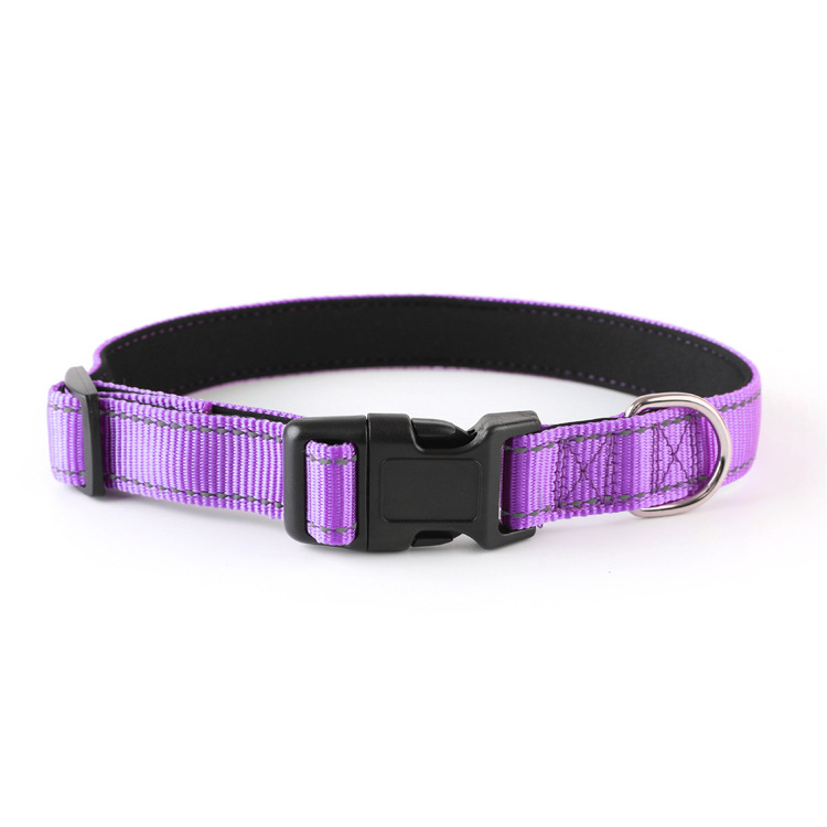 Collier réfléchissant pour chien OKEYPETS avec boucle, réglable, en nylon de sécurité 21