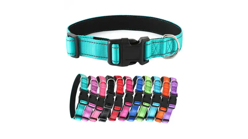 Collier pour chien en nylon durable de haute qualité, personnalisé et vendu en gros, avec un anneau en D robuste 1
