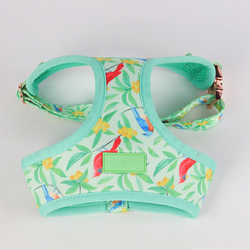 OKEYPETS Säädettävät koiranvaljaat Pehmeät, mukautetut logot, yksivärinen sublimaatio, ylellinen liivi, koiranvaljasetti 5