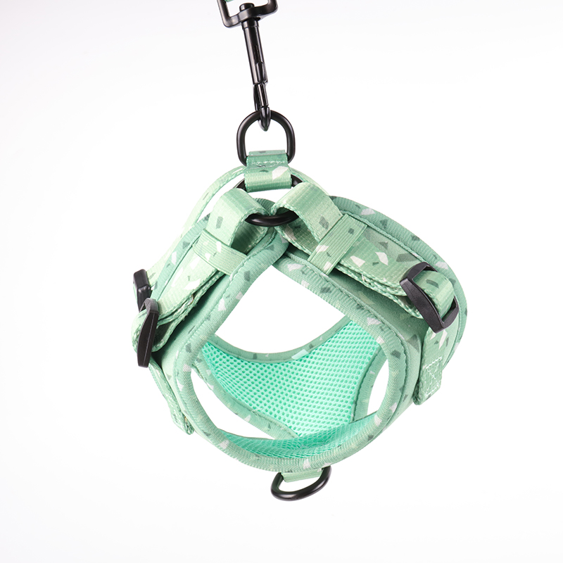 OKEYPETS Lorica Canina Impleta Mollis, Insignia Personalisata, Coloris Solidi Sublimatio Designata, Lorica Canina Designata 9