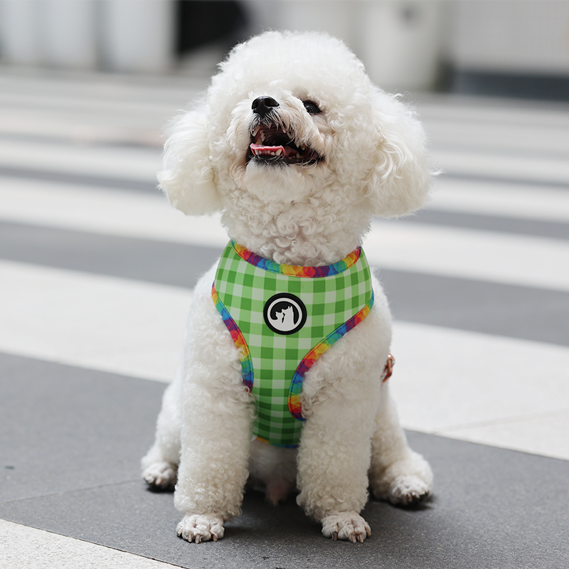 OKEYPETS - OKEYPETS Produttore di imbracature per cani personalizzate di lusso, in neoprene, regolabili e reversibili, set di imbracature per animali domestici 21