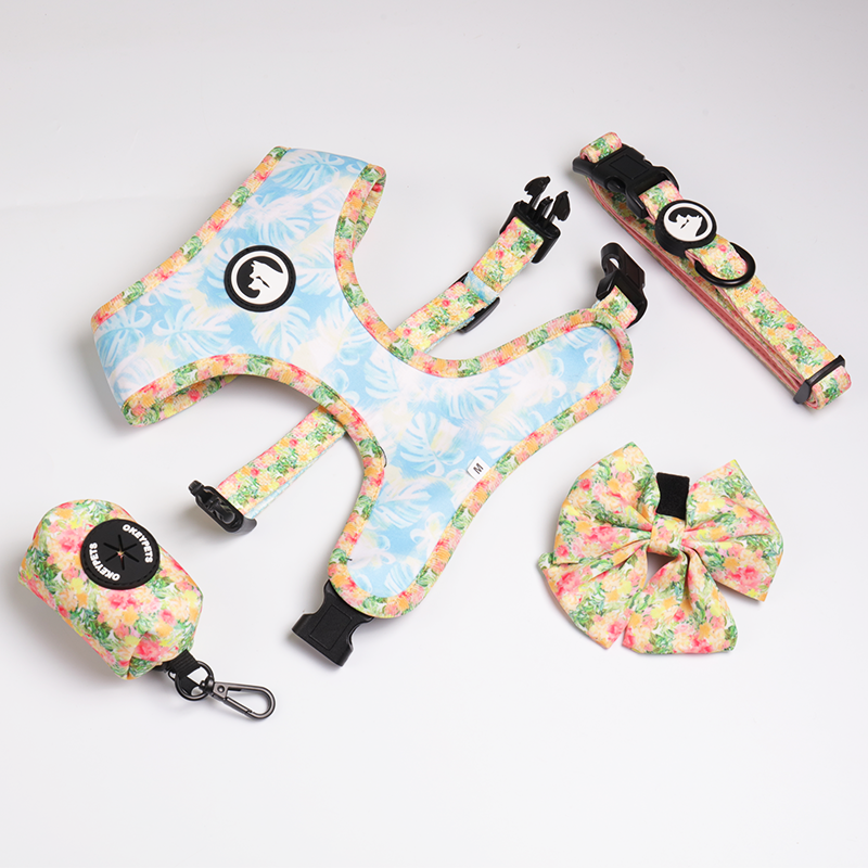 OKEYPETS - OKEYPETS Produttore di imbracature per cani personalizzate di lusso, in neoprene, regolabili e reversibili, set di imbracature per animali domestici 12