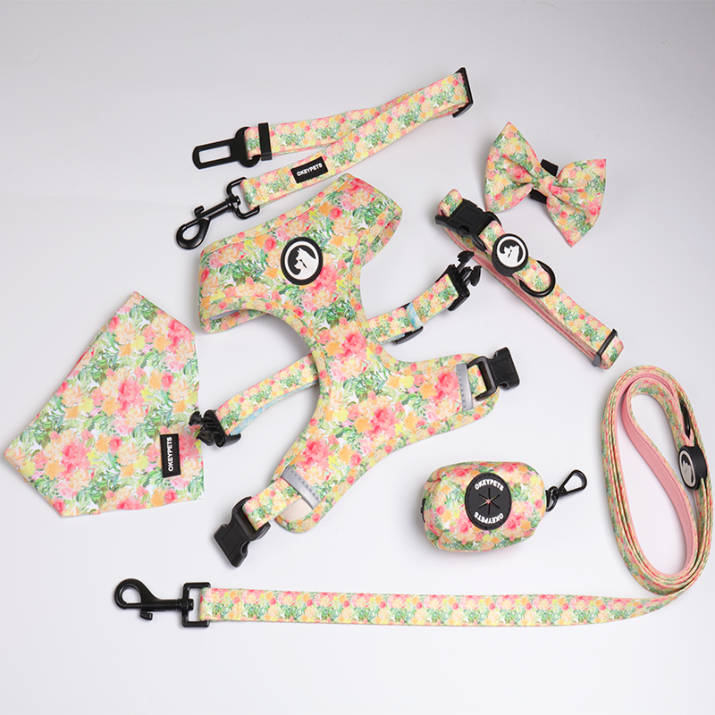 OKEYPETS - OKEYPETS Produttore di imbracature per cani personalizzate di lusso, in neoprene, regolabili e reversibili, set di imbracature per animali domestici 18