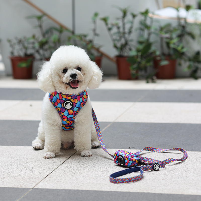 OKEYPETS - OKEYPETS Produttore di imbracature per cani personalizzate di lusso, in neoprene, regolabili e reversibili, set di imbracature per animali domestici 8