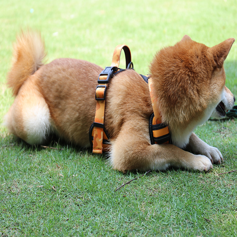 Harnais pour chien Step In Dog Harness Vest OKEYPETS en tissu Oxford avec rembourrage doux 17