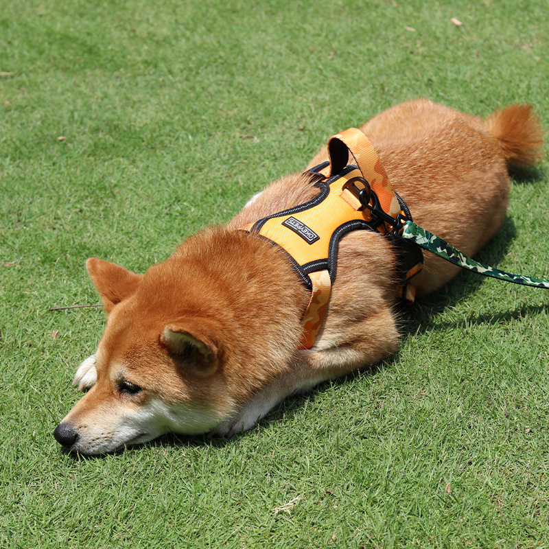 Harnais pour chien Step In Dog Harness Vest OKEYPETS en tissu Oxford avec rembourrage doux 15