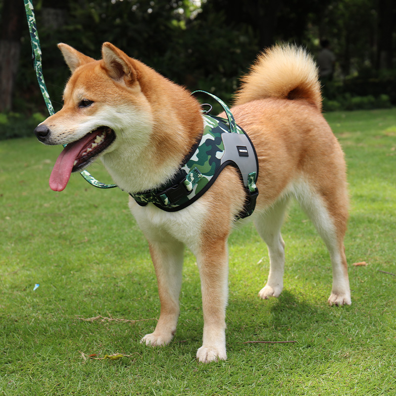 Harnais pour chien Step In Dog Harness Vest OKEYPETS en tissu Oxford avec rembourrage doux 18