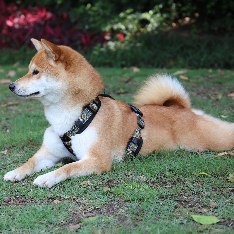 Harnais pour chien Step In Dog Harness Vest OKEYPETS en tissu Oxford avec rembourrage doux 16