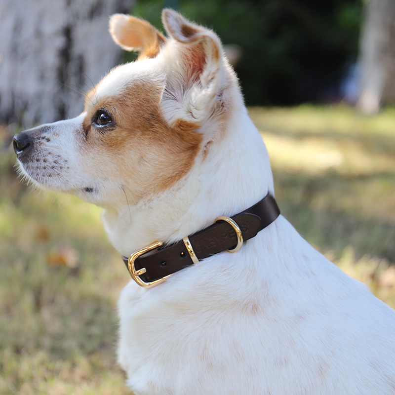OKEYPETS - Collier de luxe en cuir épais, souple et résistant à l'usure pour chien, avec système de sécurité intégré. 14
