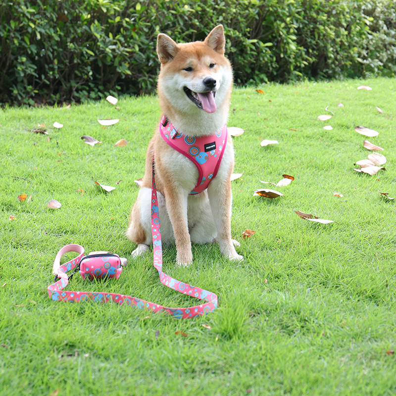 OKEYPETS Ensemble de 6 pièces élégant pour chiots et animaux de compagnie, bandana respirant, collier et laisse personnalisés par sublimation 7