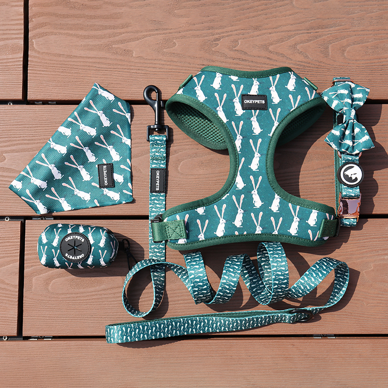 OKEYPETS - Harnais pour chiot personnalisé, confortable et réglable avec boucle métallique de sécurité - Tous les produits 22