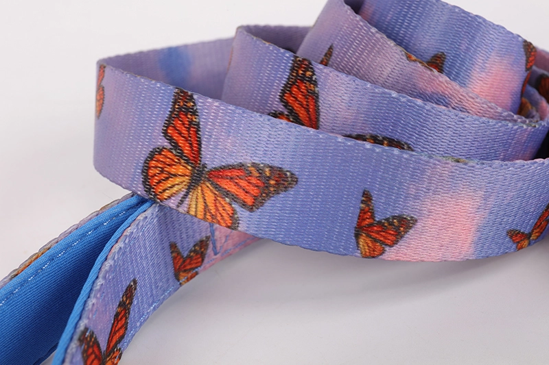 OKEYPETS Accessoires pour animaux de compagnie Ensemble laisse et collier de promenade confortable et doux pour chien 12