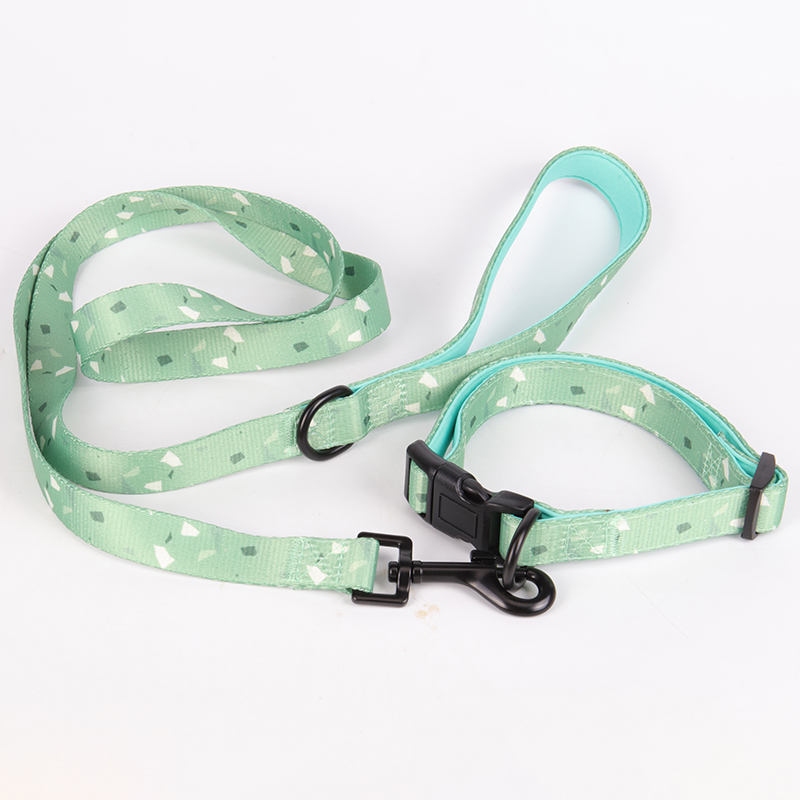 OKEYPETS Offre spéciale : accessoires pour chiens personnalisés gratuits, laisse et collier à prix avantageux. 20